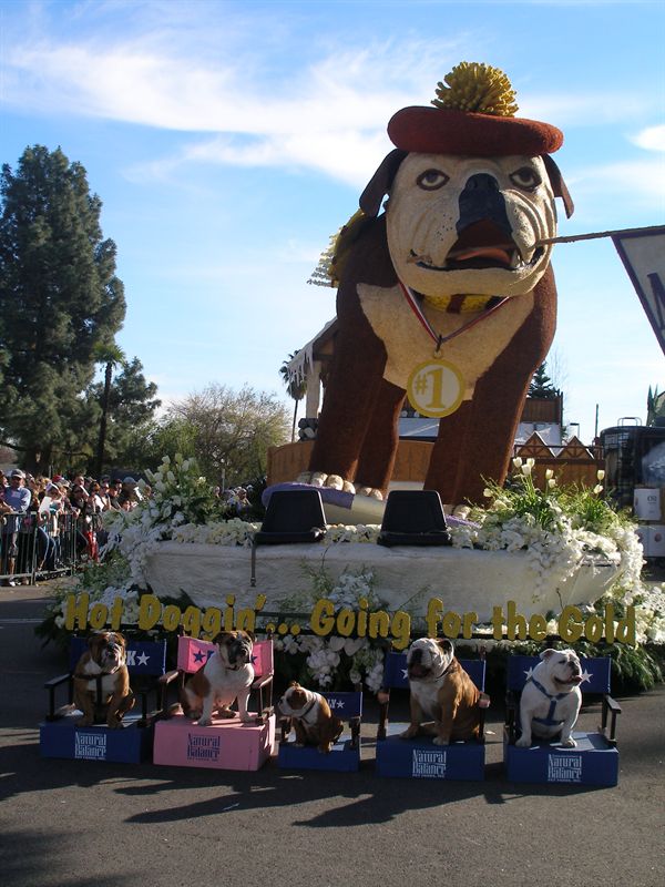 The Rose Bowl Parade!